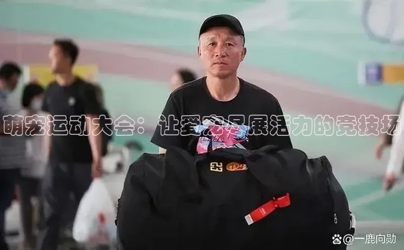 K8凯发官网